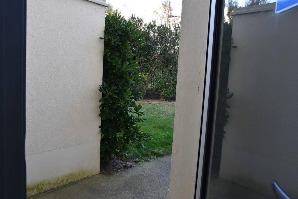 Les Goelettes - Appartement En Rdc Avec Acces Direct A La Plage แซงต์-ซีเปรียง ภายนอก รูปภาพ