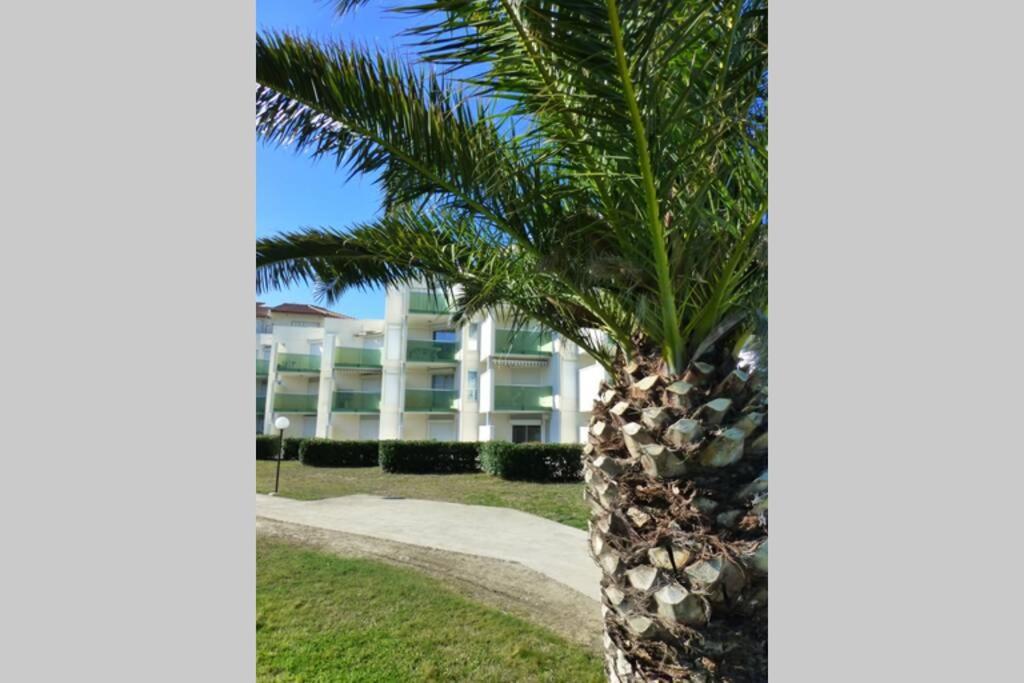 Les Goelettes - Appartement En Rdc Avec Acces Direct A La Plage แซงต์-ซีเปรียง ภายนอก รูปภาพ