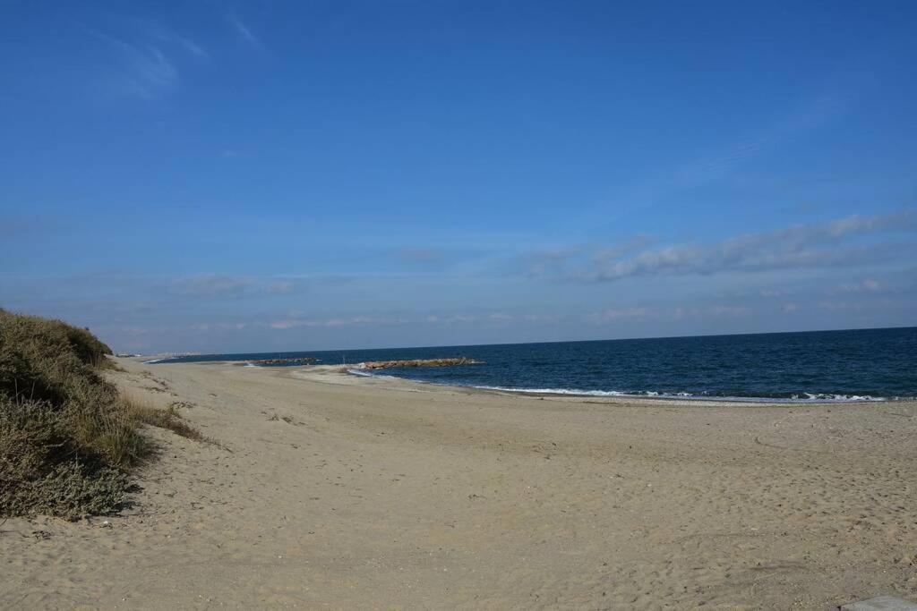 Les Goelettes - Appartement En Rdc Avec Acces Direct A La Plage แซงต์-ซีเปรียง ภายนอก รูปภาพ