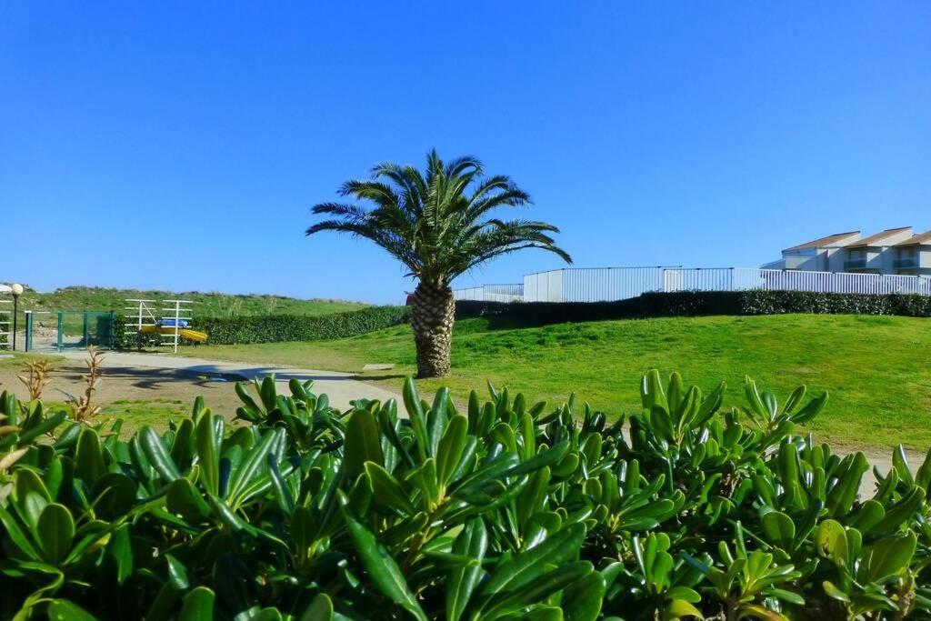 Les Goelettes - Appartement En Rdc Avec Acces Direct A La Plage แซงต์-ซีเปรียง ภายนอก รูปภาพ